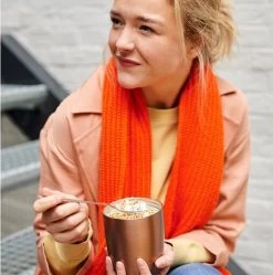 Mepal – Isoleer Lunchpot Ellipse – Houdt Je Eten 6-8 Uur Warm En 12 Uur Koud – Rose Gold – 2 Compartimenten – Soep Beker To Go – Yoghurt Beker Muesli - Thermos Lunchbox -Schoonmaakmiddelen 1192x1200 6