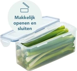 Lock&Lock Vershouddoos - Bewaardoos Met Deksel - Voor Ontbijtkoek Peperkoek En Cake - Cakedoos - 100% Luchtdicht - 2 Liter -Schoonmaakmiddelen 1200x1104 1
