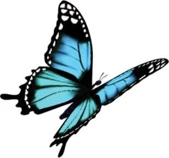 4x Robijn Klein & Krachtig Wasmiddel Black Velvet 1,19 Liter -Schoonmaakmiddelen 1200x1118