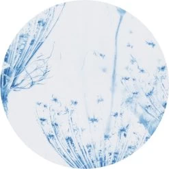 Brabantia Strijkplankhoes C - 124 X 45 Cm - Complete Set - Cotton Flower -Schoonmaakmiddelen 1200x1199 52