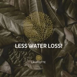 Lavayette XL Drogerballen Met 25ml Wasparfum - WasdrogerBallen – Droogballen – Wasbol – 100% Nieuw-Zeelands Schapenwol – Milieu- En Diervriendelijk – 6 Stuks 22 Lavayette XL Drogerballen Met 25ml Wasparfum - WasdrogerBallen – Droogballen – Wasbol – 100% Nieuw-Zeelands Schapenwol – Milieu- En Diervriendelijk – 6 Stuks -Schoonmaakmiddelen 1200x1200 1045