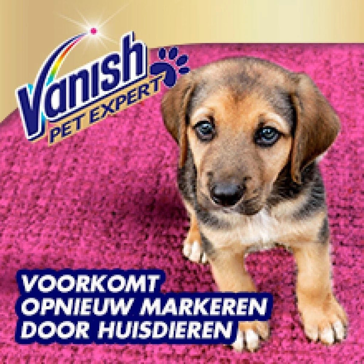 Vanish Pet Expert Schuim 600ml 6 Vanish Pet Expert Schuim 600ml - Afbeelding 4