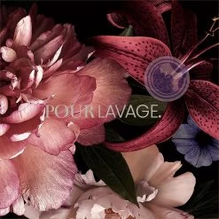 Lavayette Premium Wasparfum - Jasmin Shades - Geurbooster 500ml (Diamante) -Schoonmaakmiddelen 1200x1200 1203