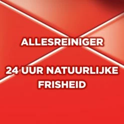 Ajax® Ajax Allesreiniger Fête Des Fleur Rode Bloem 8 X 1L - Voordeelverpakking 11 Ajax® Ajax Allesreiniger Fête Des Fleur Rode Bloem 8 X 1L - Voordeelverpakking -Schoonmaakmiddelen 1200x1200 1998