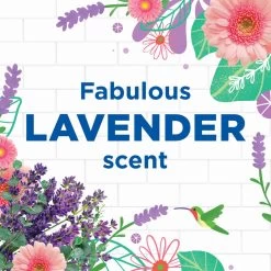 6x WC Eend Toiletreiniger Lavendel Fresh 750 Ml 12 6x WC Eend Toiletreiniger Lavendel Fresh 750 Ml -Schoonmaakmiddelen 1200x1200 2172