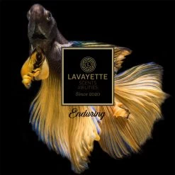 Lavayette Premium Wasparfum - Proefpakket 9x25ml - Geurbooster -Schoonmaakmiddelen 1200x1200 352