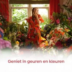 Robijn Klein & Krachtig Rosé Chique Vloeibaar Wasmiddel - 8 X 19 Wasbeurten - Voordeelverpakking -Schoonmaakmiddelen 1200x1200 414