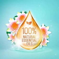 Frisse Reus Lotus Amandel Gel Vloeibaar Wasmiddel - Witte Was - Voordeelverpakking - 120 Wasbeurten -Schoonmaakmiddelen 1200x1200 660