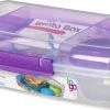 Sistema Bento Box 1.76L Met Boterhamlade - Doorzichtig/Paars 2 Sistema Bento Box 1.76L Met Boterhamlade - Doorzichtig/Paars -Schoonmaakmiddelen 1200x560 1