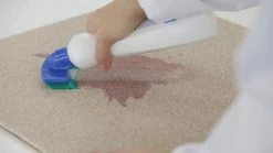 Dr. Beckmann Tapijtvlekkenborstel - Tapijtreiniging - Tapijt Vlekverwijderaar Met Borstel - Schoon Tapijt - Dierenvlekkenverwijderaar -Schoonmaakmiddelen 1200x674 1