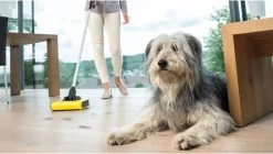 Kärcher KB 5 Rolveger - Vloerreiniger - 3,7V - Incl. Accu En Lader 19 Kärcher KB 5 Rolveger - Vloerreiniger - 3,7V - Incl. Accu En Lader -Schoonmaakmiddelen 1200x679