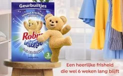 Robijn Geurbuiltje Intense 3 STUKS - Geur- Geurbuiltjes- Geurzakjes Voor In De Kledingkast -Schoonmaakmiddelen 1200x742 7