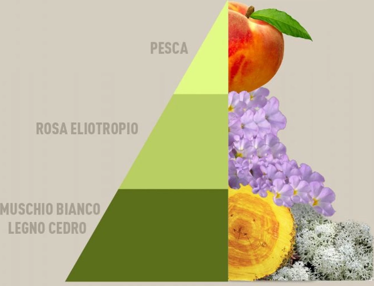 Horomia Wasparfum Musica-del-Sole - 500ml 4 Horomia Wasparfum Musica-del-Sole - 500ml - Afbeelding 2