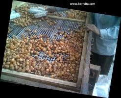 Wasnoten 3kg Met 4 Waszakjes - Zeepnoten - Natuurlijk Wassen - 4x750gr -Schoonmaakmiddelen 1200x973 5