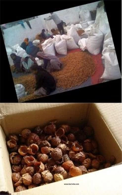 Wasnoten 3kg Met 4 Waszakjes - Zeepnoten - Natuurlijk Wassen - 4x750gr -Schoonmaakmiddelen 755x1200 2